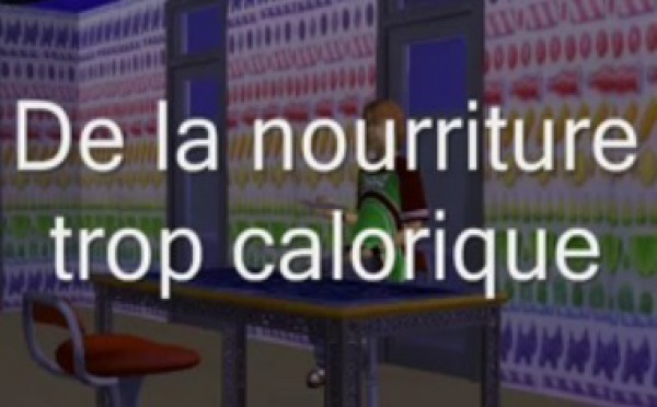 La santé et notre alimentation : Les causes de l'obésité