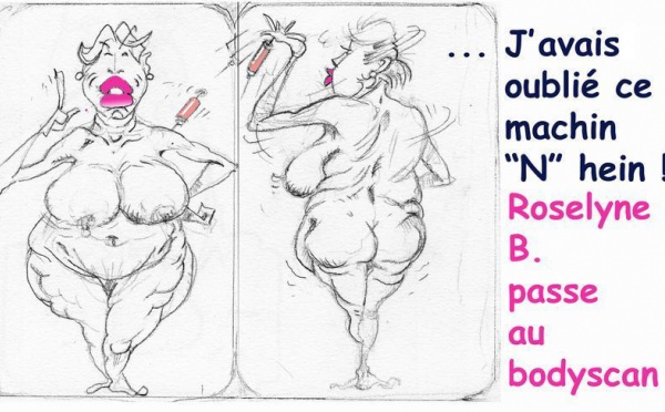 DESSIN DE PRESSE - Transparence fiscale