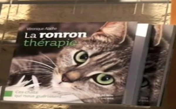  Astuces pour gérer de manière naturelle votre stress