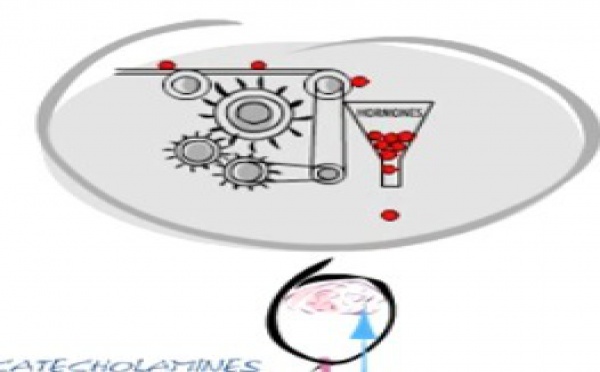 A quel point le stress peut affecter votre santé