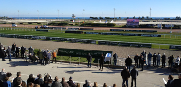 Un dimanche à l’hippodrome