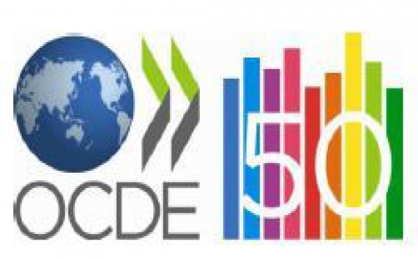 Normes de l’OCDE pour les entreprises multinationales