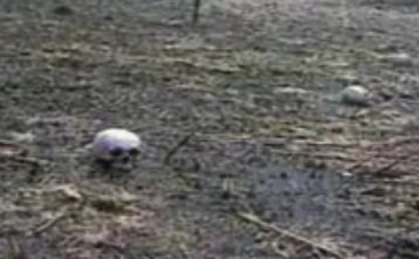 L’arrestation de Ratko Mladić, une étape essentielle vers la justice selon Amnesty International