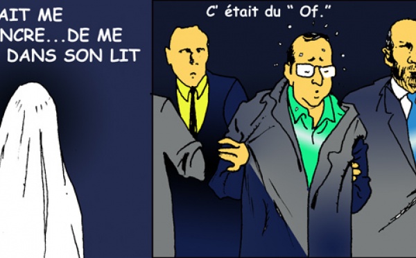 DESSIN DE PRESSE: Les vacances en Hollande de Madame Dugenou