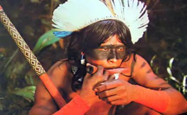 Droits humains au Brésil: suspendre le projet du barrage de Belo Monte