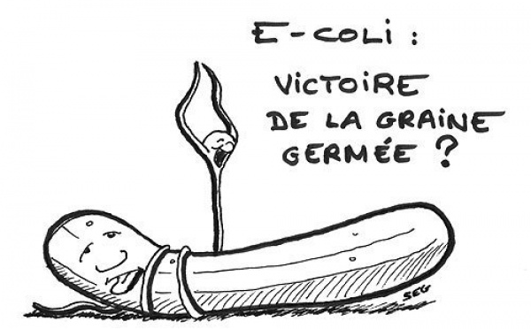 DESSIN DE PRESSE - E.coli : victoire de la graine ?