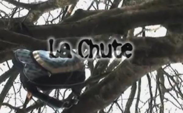 La sélection d'Eva: La chute