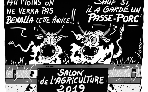 Salon international de l'agriculture: la campagne à Paris
