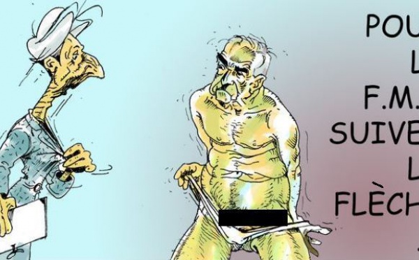 DESSIN DE PRESSE: Christine Lagarde tenait à rencontrer DSK