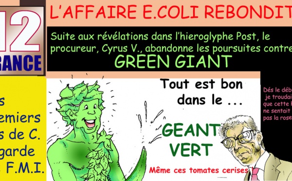 DESSIN DE PRESSE: VOTRE 12FRANCE