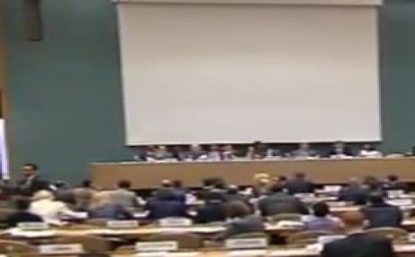 ECOSOC - Session de fond à Genève