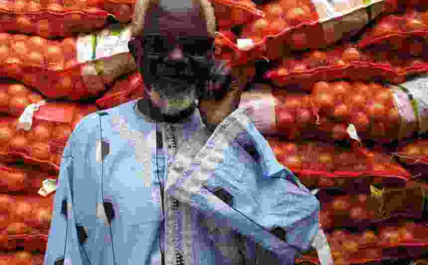 Ablaye Thiossane sort un premier album enchanteur à près de 75 ans