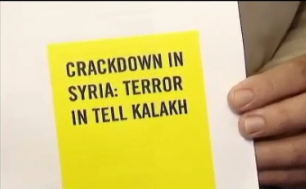 Un rapport révèle les crimes contre l'humanité commis dans une ville syrienne