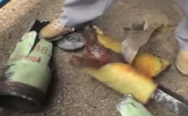 Proposition en rapport avec le TCA, afin que certaines armes destinées à un usage répressif ne fassent pas l'objet de négociations