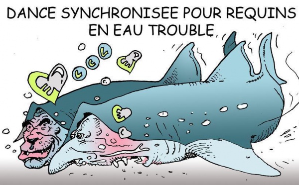 DESSIN DE PRESSE: Affaire Lagarde-Tapie, la cour de justice se prononcerait aujourd'hui