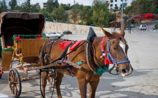 Dans le bus vers Beyrouth