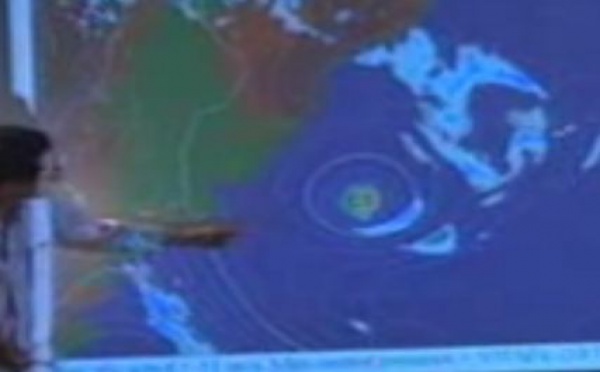 Les phénomènes météorologiques extrêmes menacent les forêts