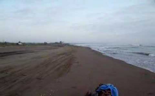 Cinq pays s'unissent pour protéger la mer Caspienne