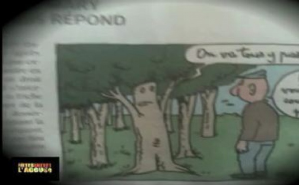 La sélection d'Eva: Zap chêne