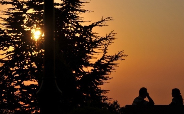 L’IMAGE DU JOUR – AMOUREUX