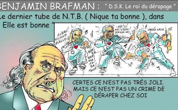 DESSIN DE PRESSE: Ce qui s'est vraiment passé entre les quatre murs du Sofitel