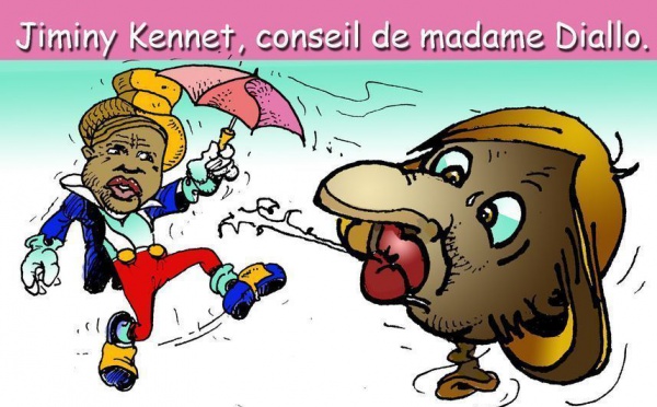 DESSIN DE PRESSE: L'Affaire Diallo se dégonfle ?