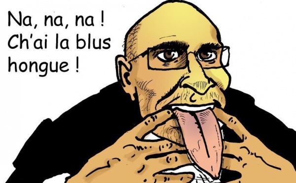 DESSIN DE PRESSE: Le Figaro décerne le prix de la langue de bois à Harlem Désir