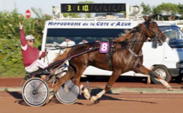 SPORTS HIPPIQUES: Commander Crow bat le record d'Europe