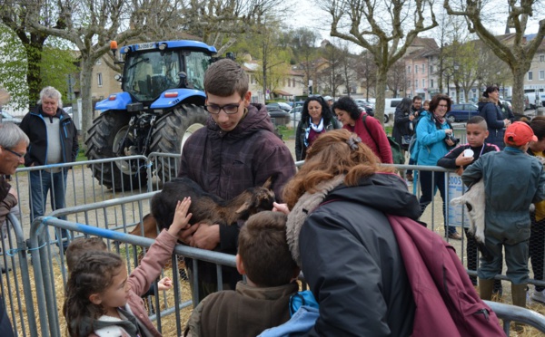 Le Saint-Marcellin à l'honneur