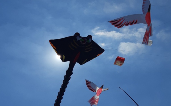 Berck-sur-Mer: 33e Rencontres Internationales de Cerfs-Volants