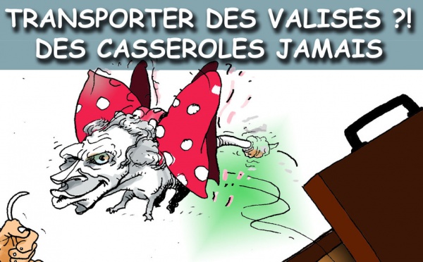 DESSIN DE PRESSE: Il est libre Pinpin !