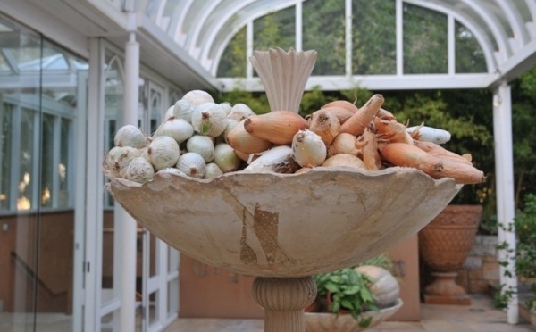 L’IMAGE DU JOUR – Les oignons et leurs bénéfices