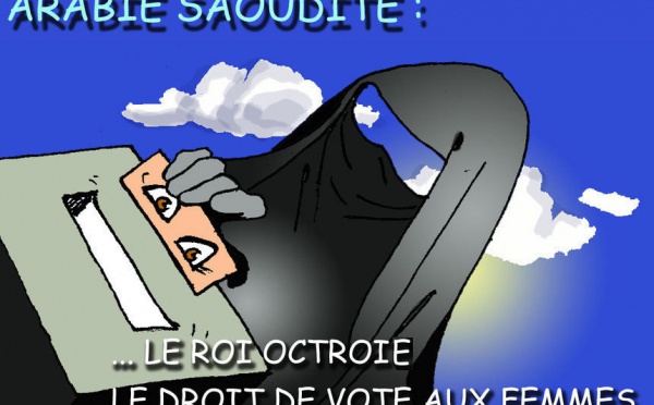 DESSIN DE PRESSE: Levée des voiles sur les urnes