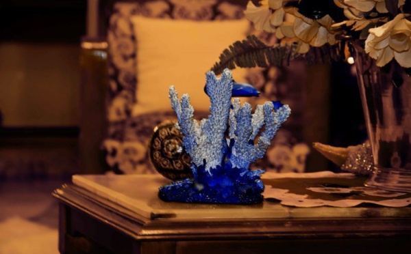 L’IMAGE DU JOUR – Décoration intérieure