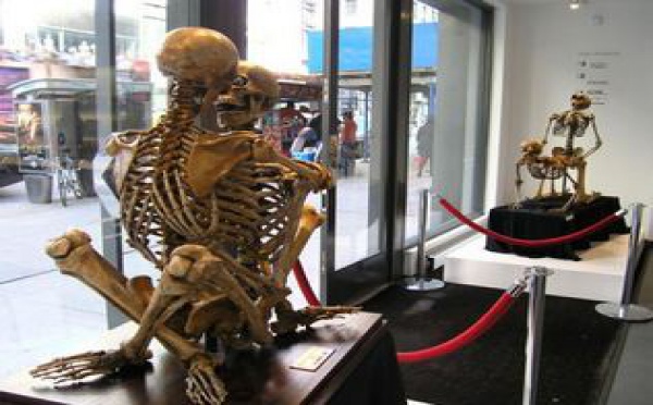 Les Amants du Néant