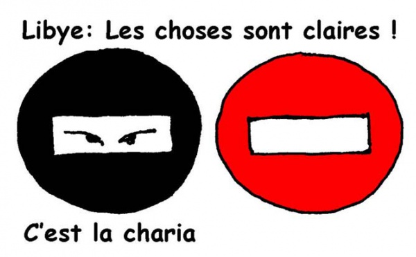 DESSIN DE PRESSE: Demi-tour, faut pas charrier !