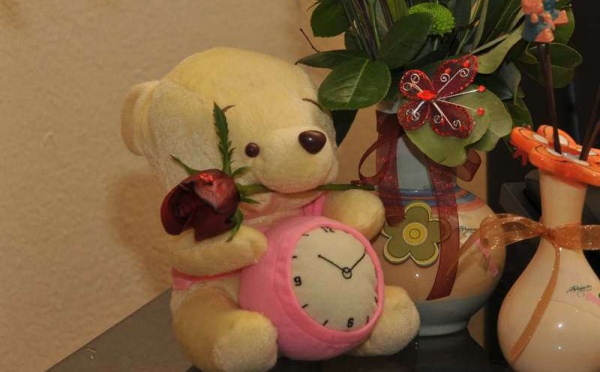 L’IMAGE DU JOUR – Peluches