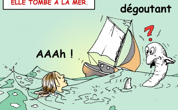 DESSIN DE PRESSE: Allo, à l'eau, ici Florence Arthaud