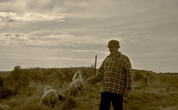 L’IMAGE DU JOUR – Le berger