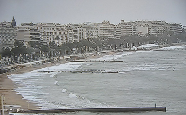 Le G20 de Cannes oublie les questions financières