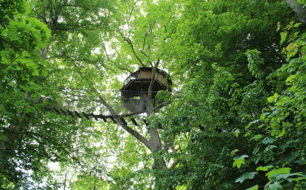 Calvados: une nuit dans un "Nid d'aigle", la plus haute cabane d'Europe