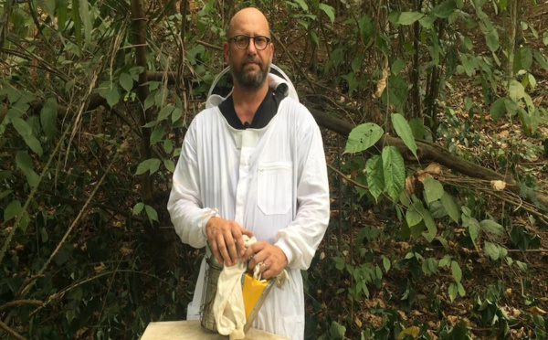 Côte d'Ivoire: Le monde apicole par Sébastien Gavini