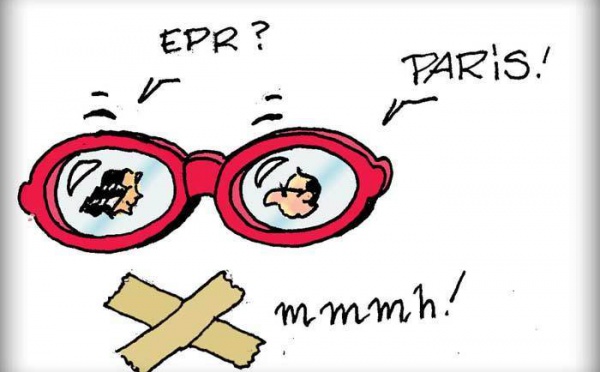 DESSIN DE PRESSE: La Fée élection d'Eva Joly