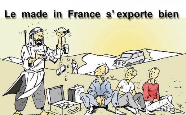 DESSIN DE PRESSE: Avis d'expert