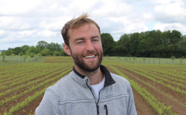 L'agroforesterie: la richesse insoupçonnée de l'arbre