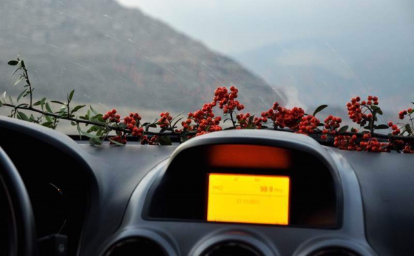 L’IMAGE DU JOUR – Une autre façon de conduire