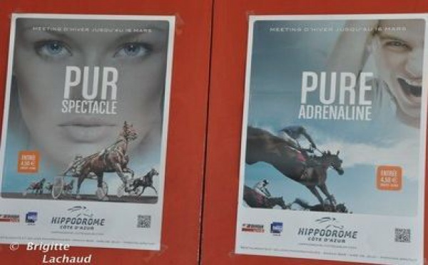 Meeting d'hiver 2011-2012 à l'Hippodrome Côte d'Azur