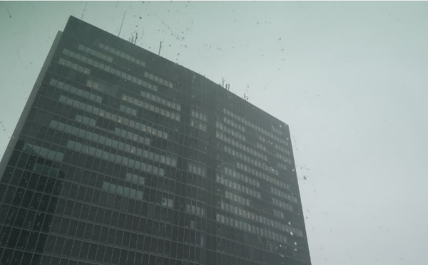 Écologie, le mal-être d’une espèce encore très peu connue : l’être humain