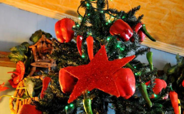 L’IMAGE DU JOUR: Piments de Noël