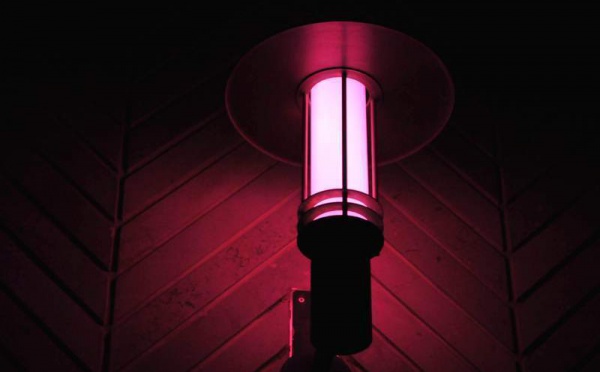 L’IMAGE DU JOUR – Couleur et humeur